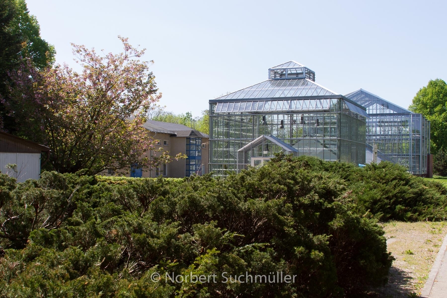 Botanischer Volkspark
Das Gewächshaus nach der Rekonstruktion
Keywords: Botanischer Volkspark