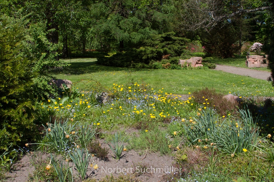 Botanischer Volkspark
Keywords: Botanischer Volkspark