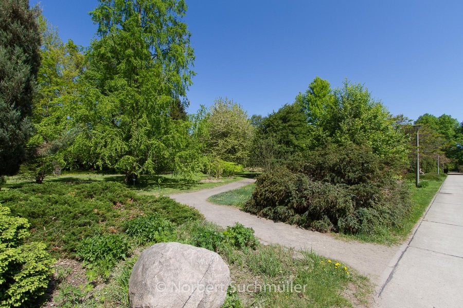 Botanischer Volkspark
Keywords: Botanischer Volkspark