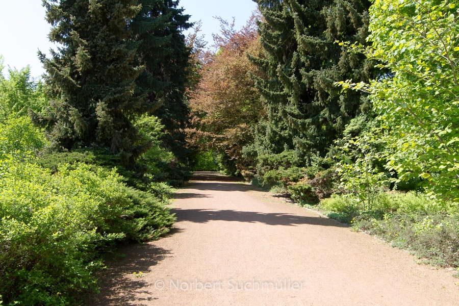 Botanischer Volkspark
Keywords: Botanischer Volkspark