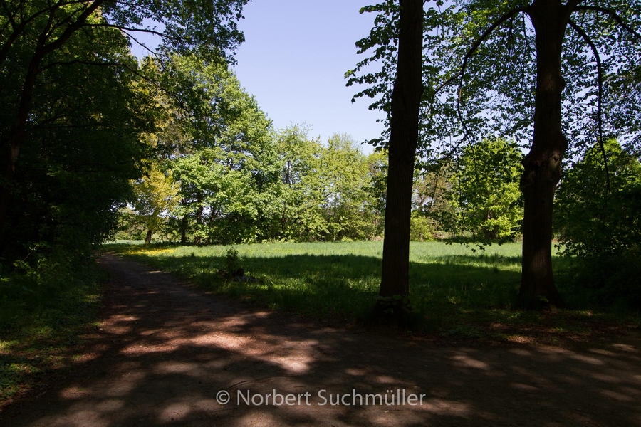 Botanischer Volkspark
Keywords: Botanischer Volkspark