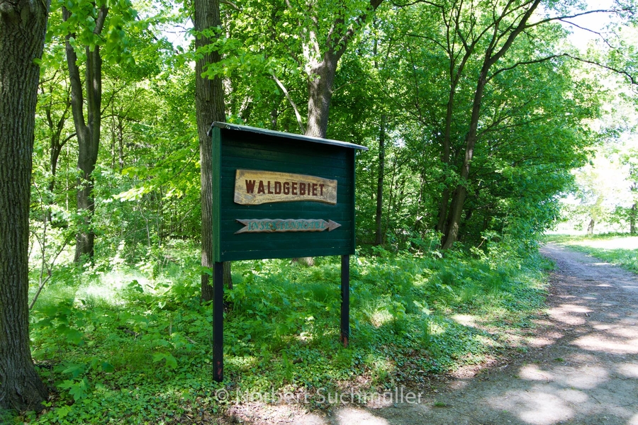 Botanischer Volkspark
Keywords: Botanischer Volkspark