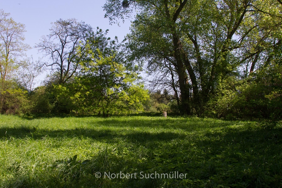 Botanischer Volkspark
Keywords: Botanischer Volkspark