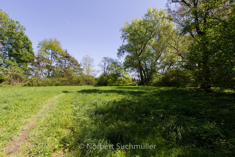 Botanischer Volkspark
Keywords: Botanischer Volkspark