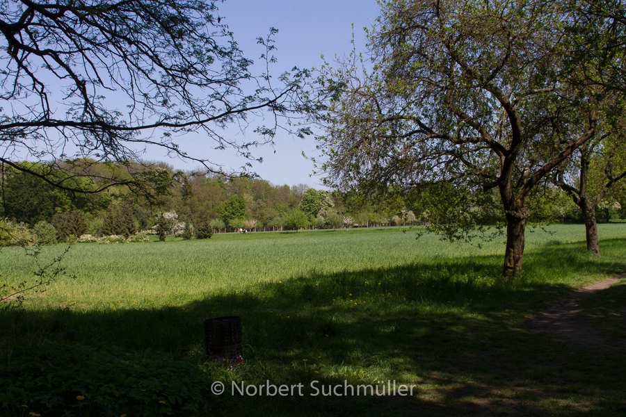 Botanischer Volkspark
Keywords: Botanischer Volkspark