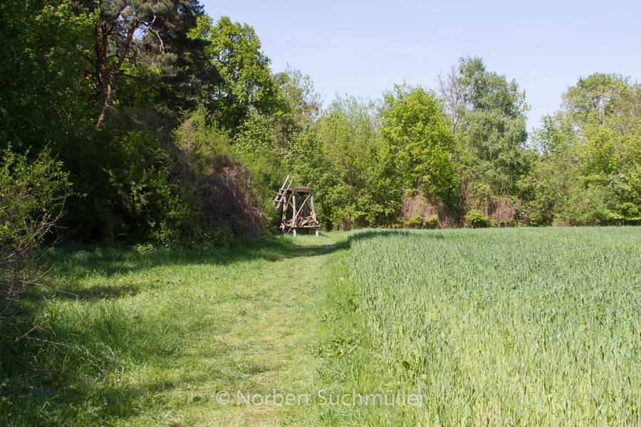 Botanischer Volkspark
Keywords: Botanischer Volkspark