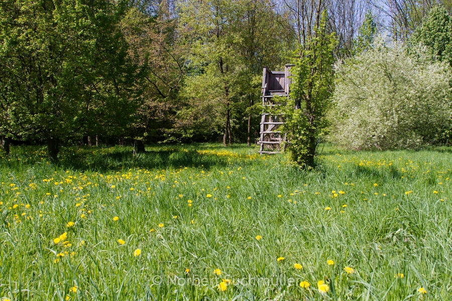 Botanischer Volkspark
Keywords: Botanischer Volkspark