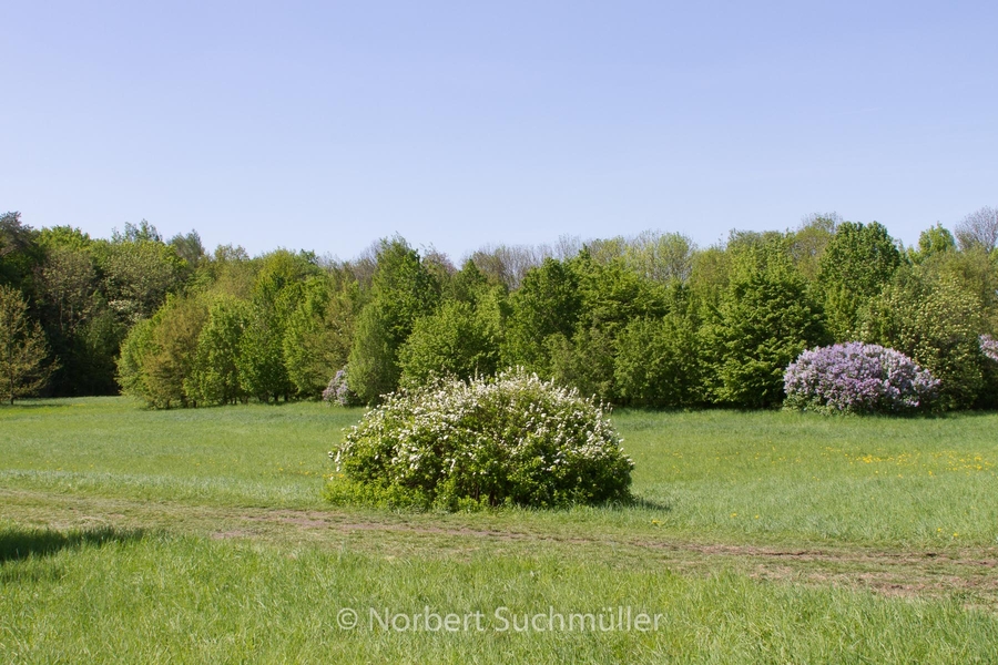 Botanischer Volkspark
Keywords: Botanischer Volkspark