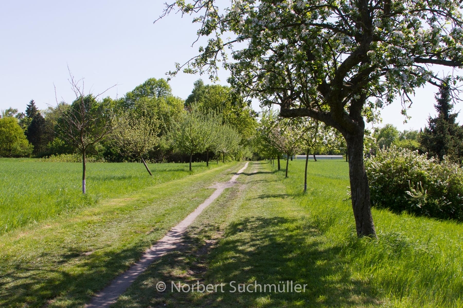 Botanischer Volkspark
Keywords: Botanischer Volkspark