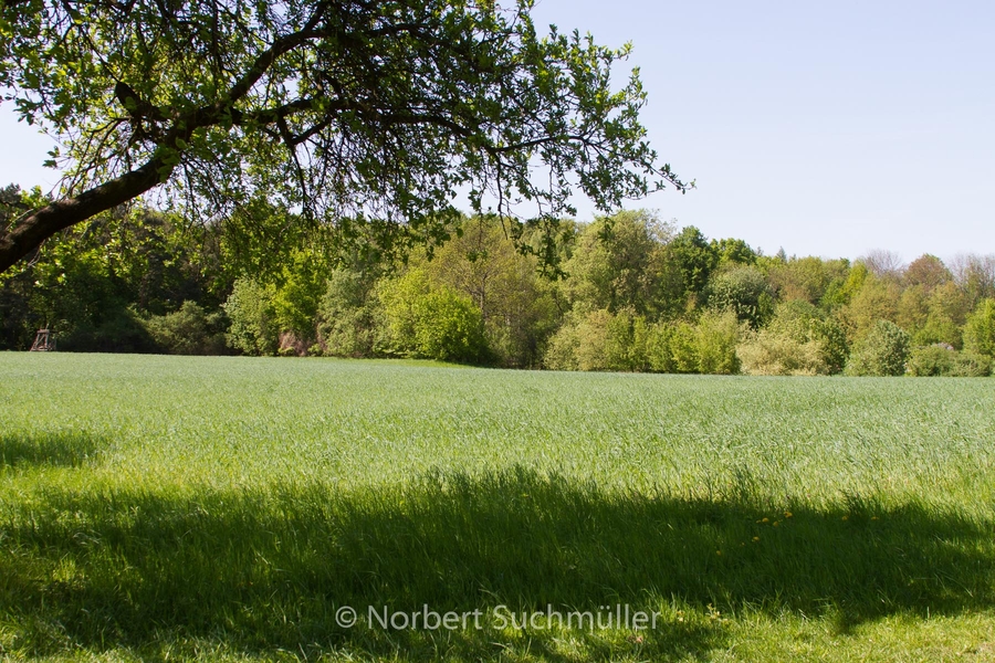 Botanischer Volkspark
Keywords: Botanischer Volkspark