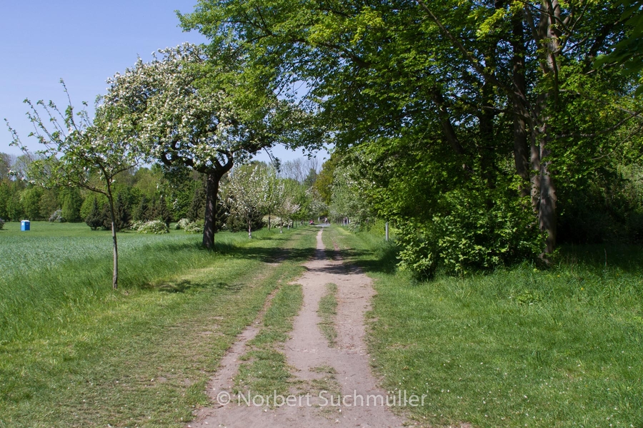 Botanischer Volkspark
Keywords: Botanischer Volkspark