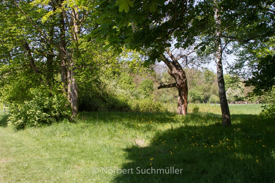 Botanischer Volkspark
Keywords: Botanischer Volkspark