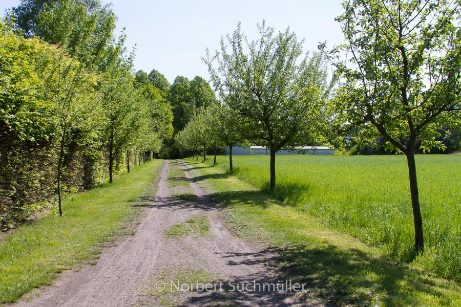 Botanischer Volkspark
Keywords: Botanischer Volkspark