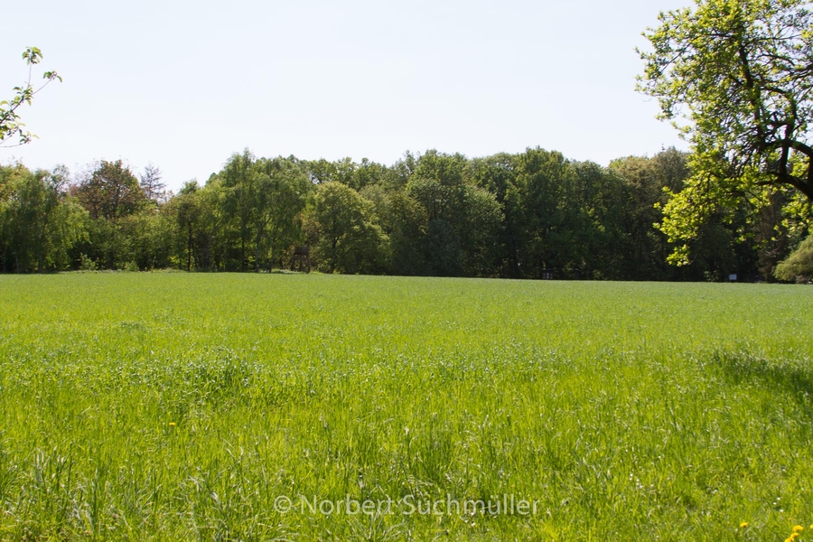 Botanischer Volkspark
Keywords: Botanischer Volkspark