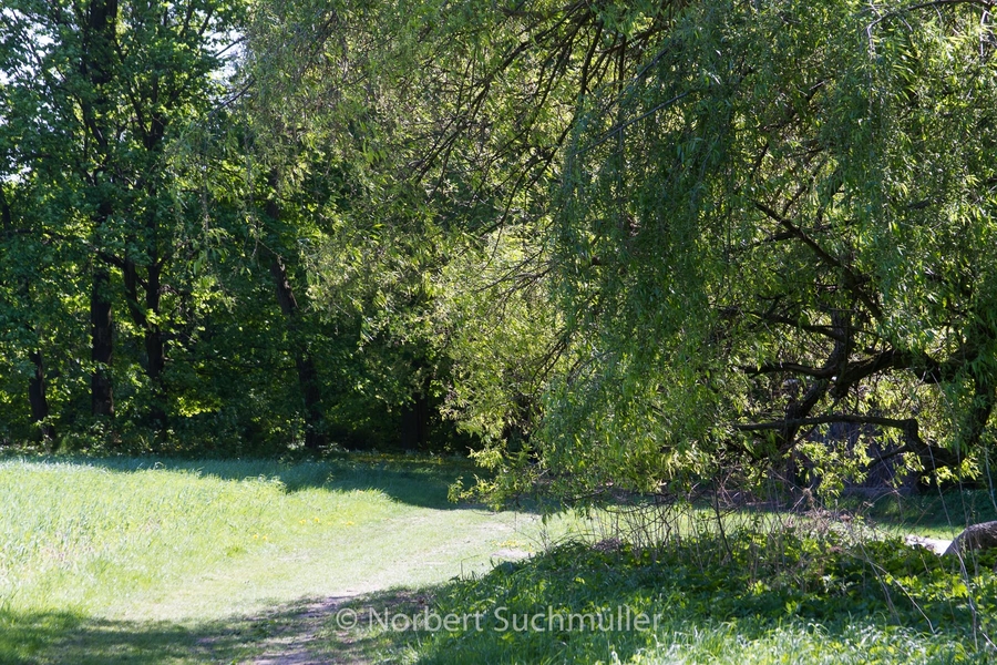 Botanischer Volkspark
Keywords: Botanischer Volkspark