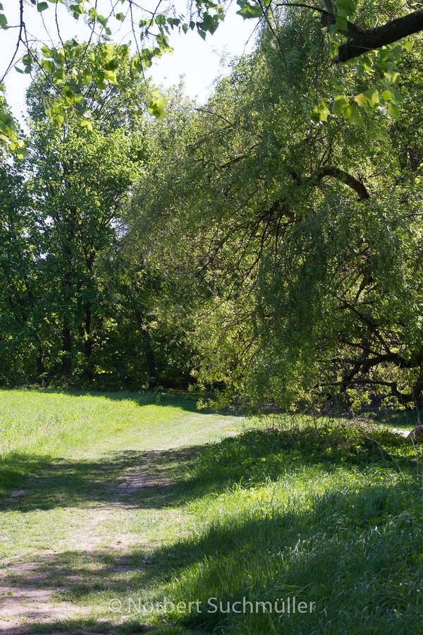 Botanischer Volkspark
Keywords: Botanischer Volkspark