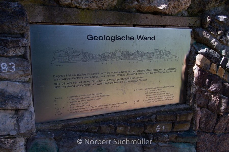 Botanischer Volkspark
Geologische Wand
Keywords: Botanischer Volkspark