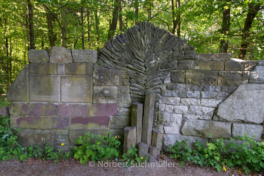 Botanischer Volkspark
Geologische Wand
Keywords: Botanischer Volkspark