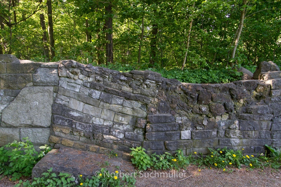 Botanischer Volkspark
Geologische Wand
Keywords: Botanischer Volkspark