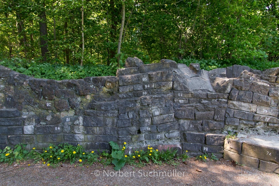 Botanischer Volkspark
Geologische Wand
Keywords: Botanischer Volkspark