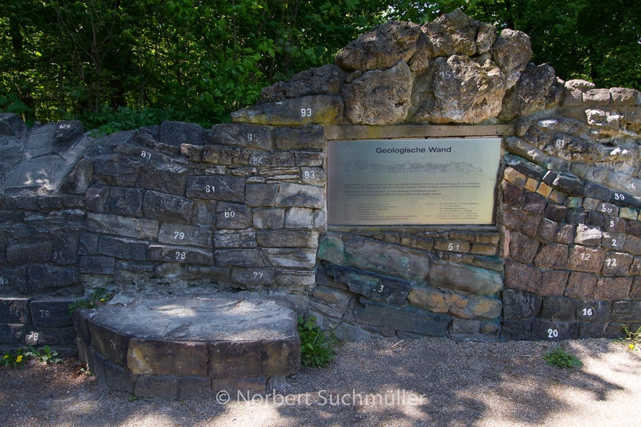 Botanischer Volkspark
Geologische Wand
Keywords: Botanischer Volkspark