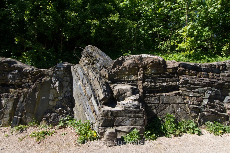 Botanischer Volkspark
Geologische Wand
Keywords: Botanischer Volkspark