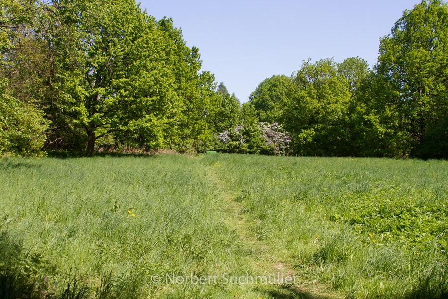 Botanischer Volkspark
Keywords: Botanischer Volkspark