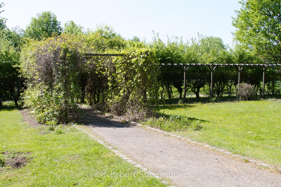 Botanischer Volkspark
Keywords: Botanischer Volkspark