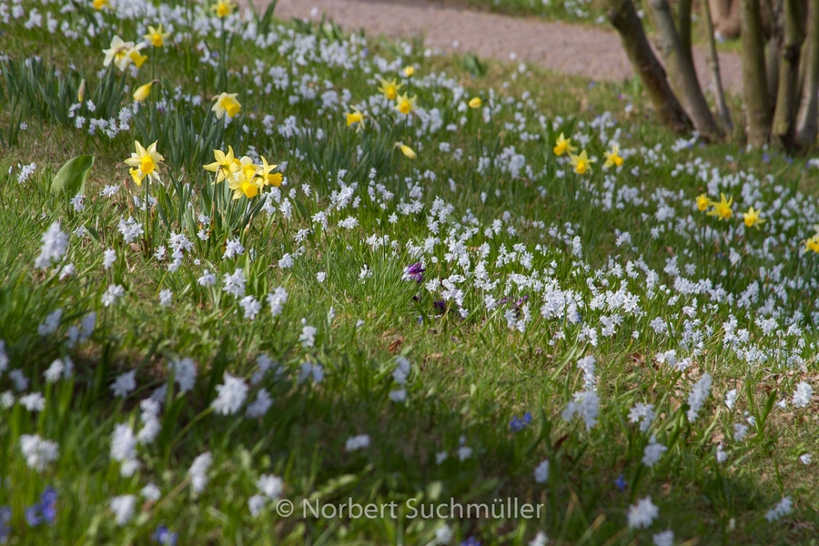 Britzer_Garten-025.jpg