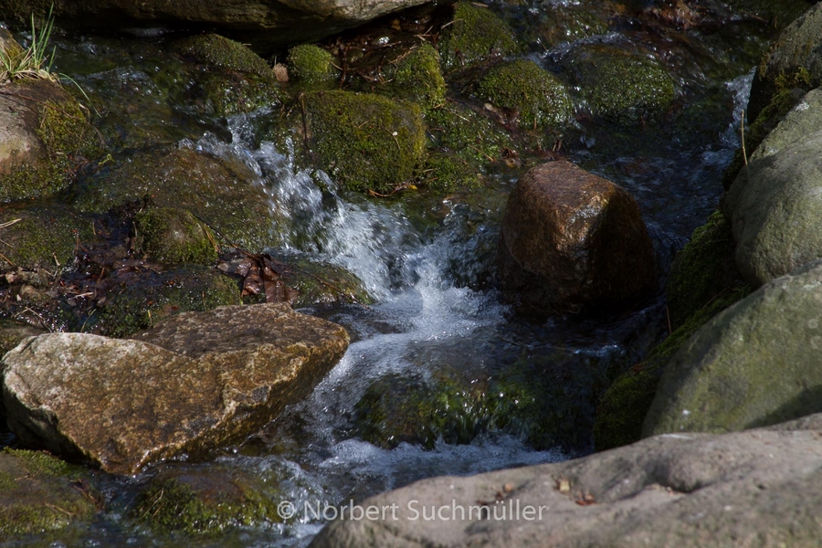 Britzer_Garten-043.jpg