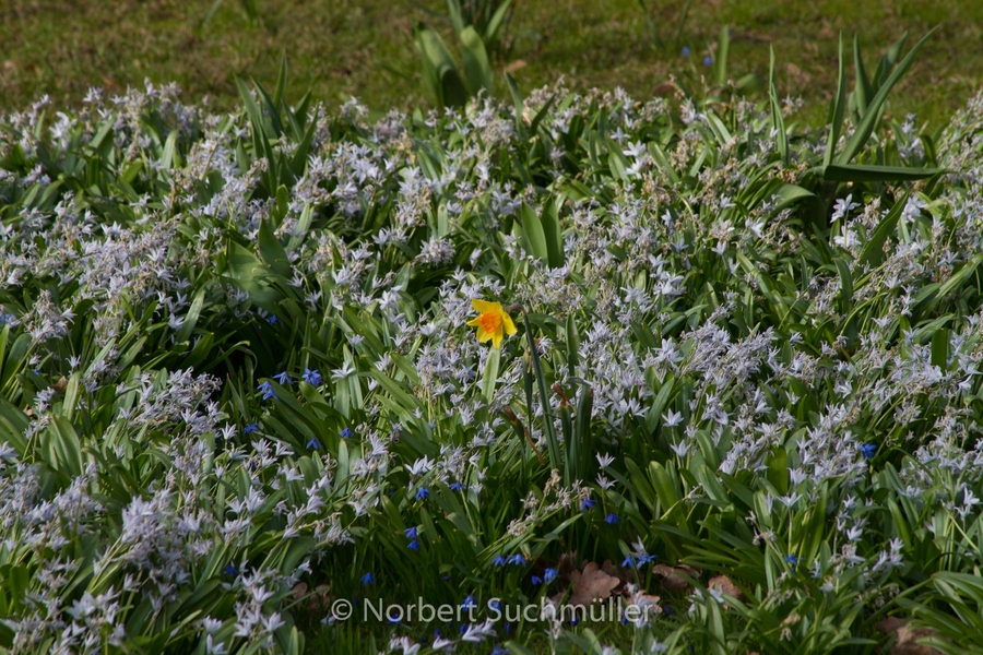 Britzer_Garten-058.jpg