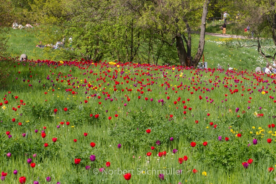 Britzer_Garten-058~0.jpg