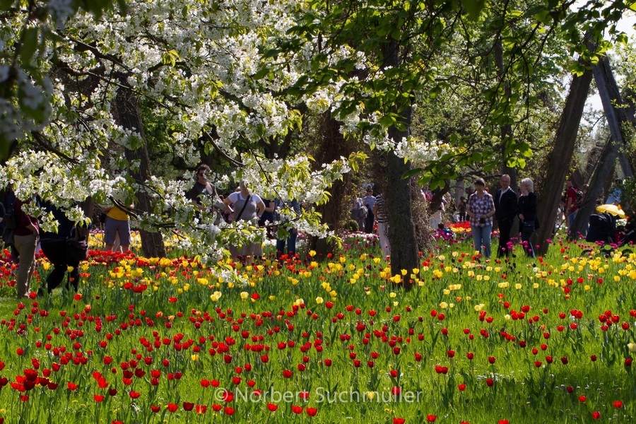 Britzer_Garten-097.jpg