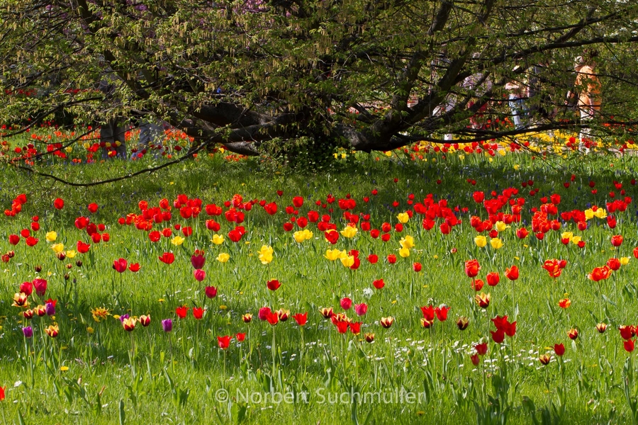 Britzer_Garten-103.jpg