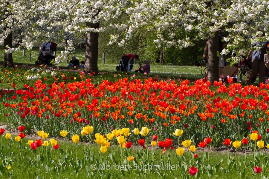 Britzer_Garten-104.jpg