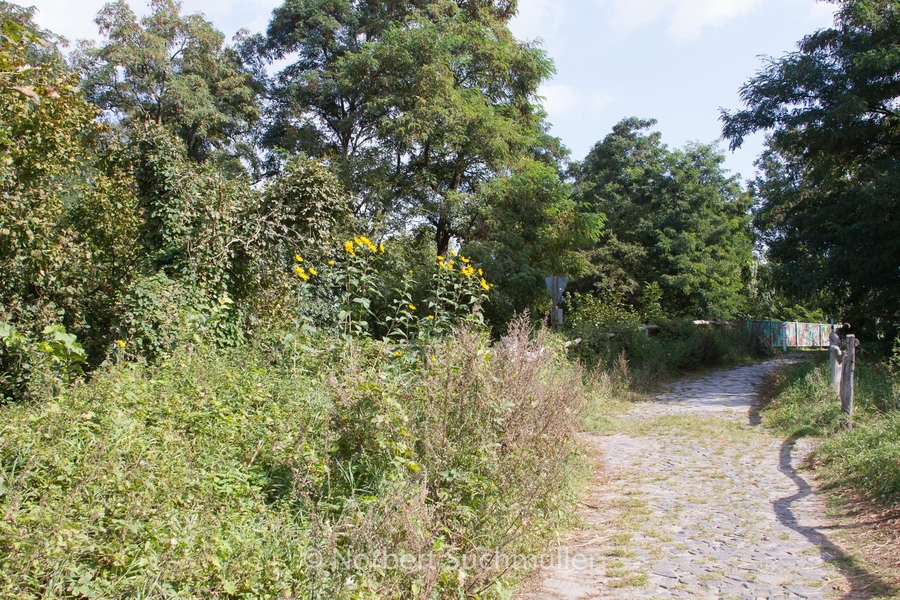 Von Alt-Lübars nach Arkenberge
Vorne sieht man die Brücke über die Heidekrautbahn
Keywords: Auf Försters Wegen