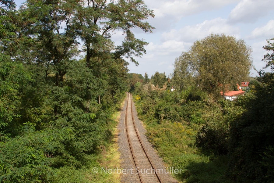 Von Alt-Lübars nach Arkenberge
Wir überqueren die Gleis der Heidekrautbahn zwischen Blankenfelde und Schildow
Keywords: Auf Försters Wegen;Heidekrautbahn