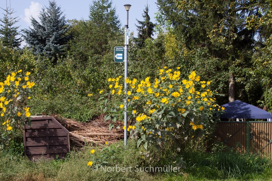 Von Alt-Lübars nach Arkenberge
Keywords: Auf Försters Wegen