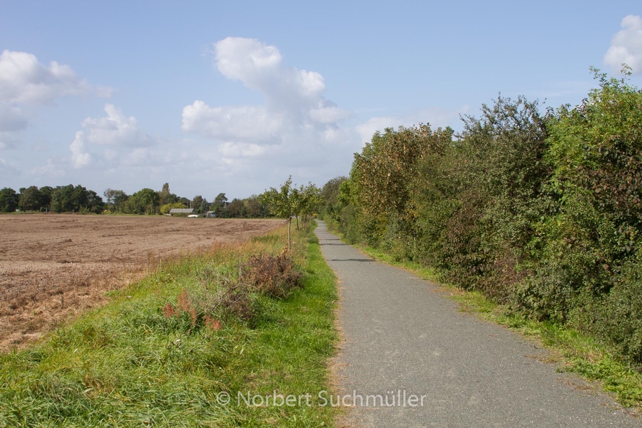 Von Alt-Lübars nach Arkenberge
Barnimer Dörferweg
Keywords: Auf Försters Wegen