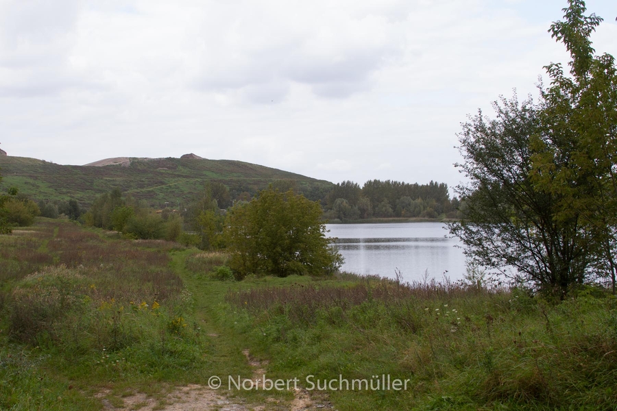 Von Alt-Lübars nach Arkenberge
Arkenberger Seen
Keywords: Auf Försters Wegen;Arkenberger Seen