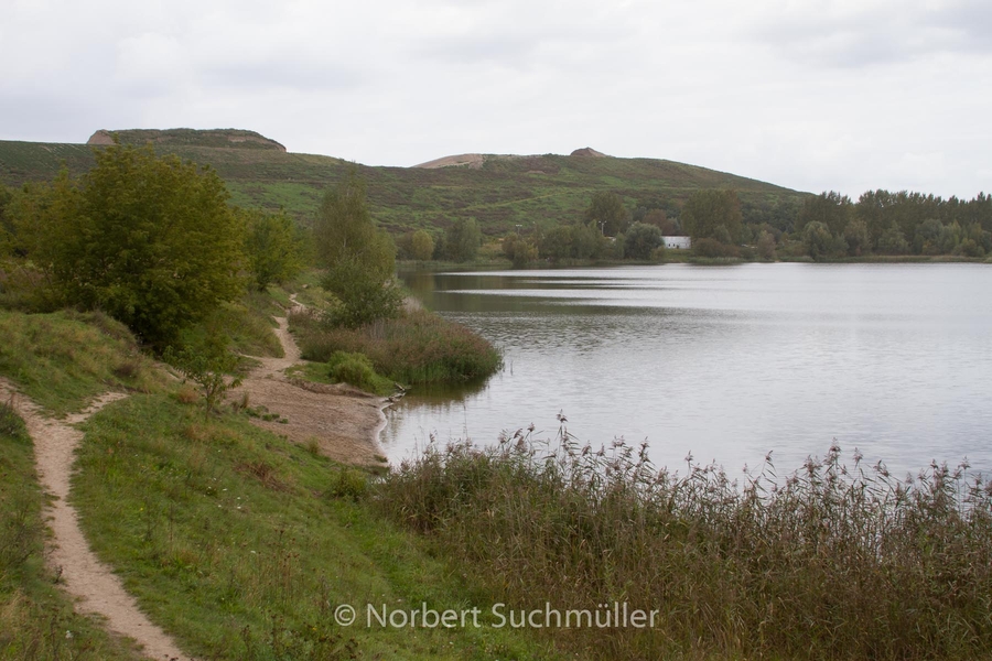 Von Alt-Lübars nach Arkenberge
Arkenberger Seen
Keywords: Auf Försters Wegen