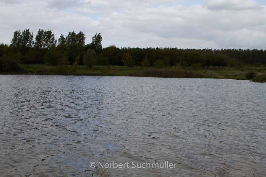 Von Alt-Lübars nach Arkenberge
Arkenberger Seen
Keywords: Auf Försters Wegen;Arkenberger Seen