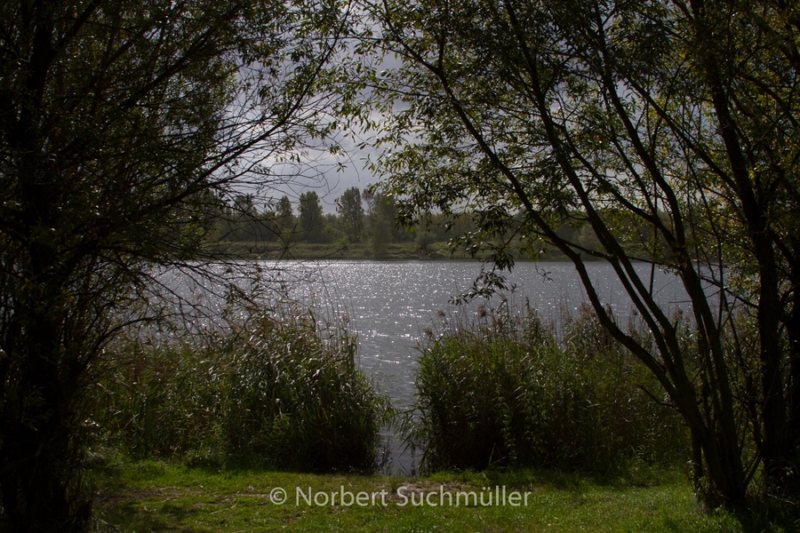 Von Alt-Lübars nach Arkenberge
Arkenberger See im Gegenlicht
Keywords: Auf Försters Wegen;Arkenberger Seen