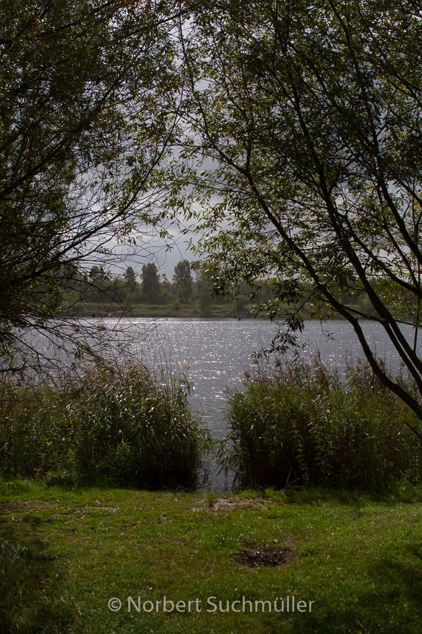 Von Alt-Lübars nach Arkenberge
Arkenberger See im Gegenlicht
Keywords: Auf Försters Wegen;Arkenberger Seen