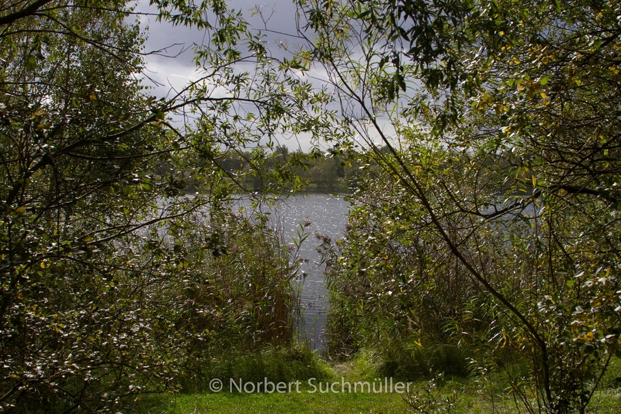 Von Alt-Lübars nach Arkenberge
Arkenberger See im Gegenlicht
Keywords: Auf Försters Wegen;Arkenberger Seen