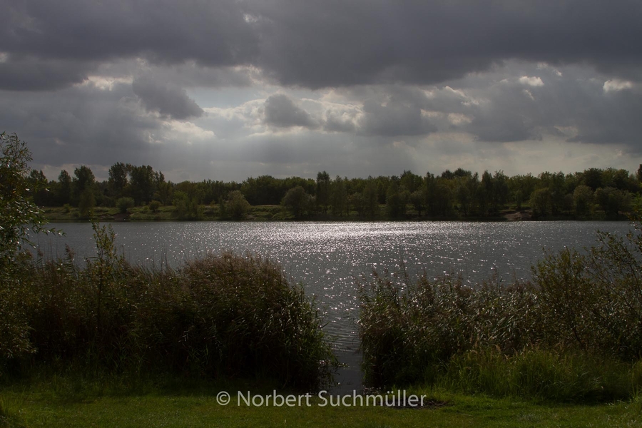 Von Alt-Lübars nach Arkenberge
Arkenberger See im Gegenlicht
Keywords: Auf Försters Wegen;Arkenberger Seen