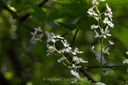 Botanischer_Volkspark-053.jpg