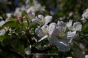 Botanischer_Volkspark-087.jpg