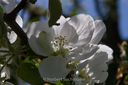 Botanischer_Volkspark-091.jpg