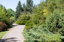 Botanischer_Volkspark-113.jpg